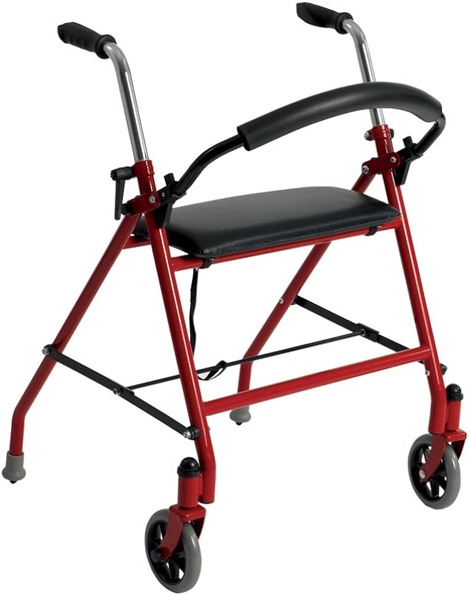 2 Wheel Rollator 