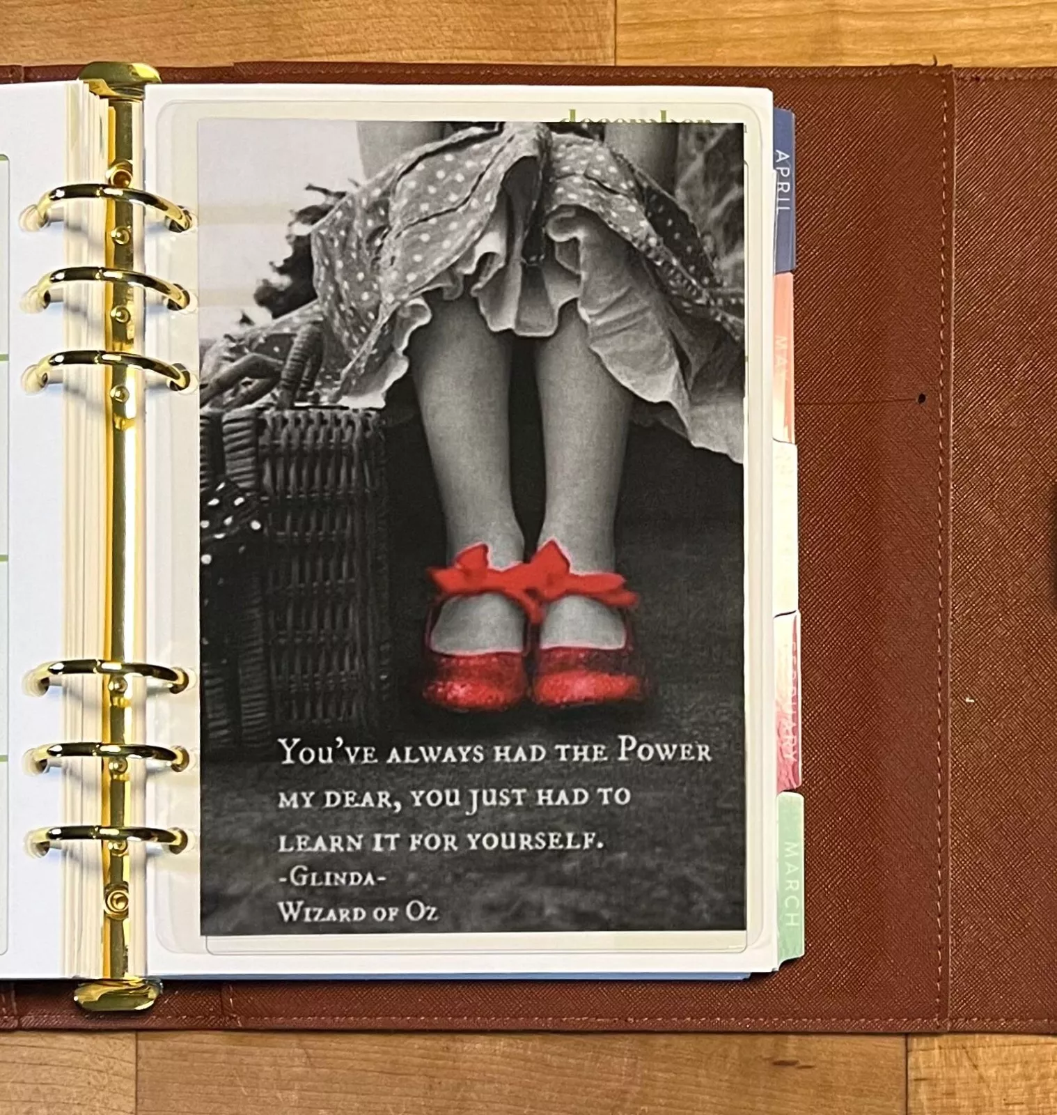 Oz Inspired Red Slipper Glinda Good Witch Quote