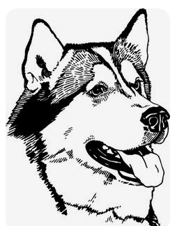 Customized Engraved Items