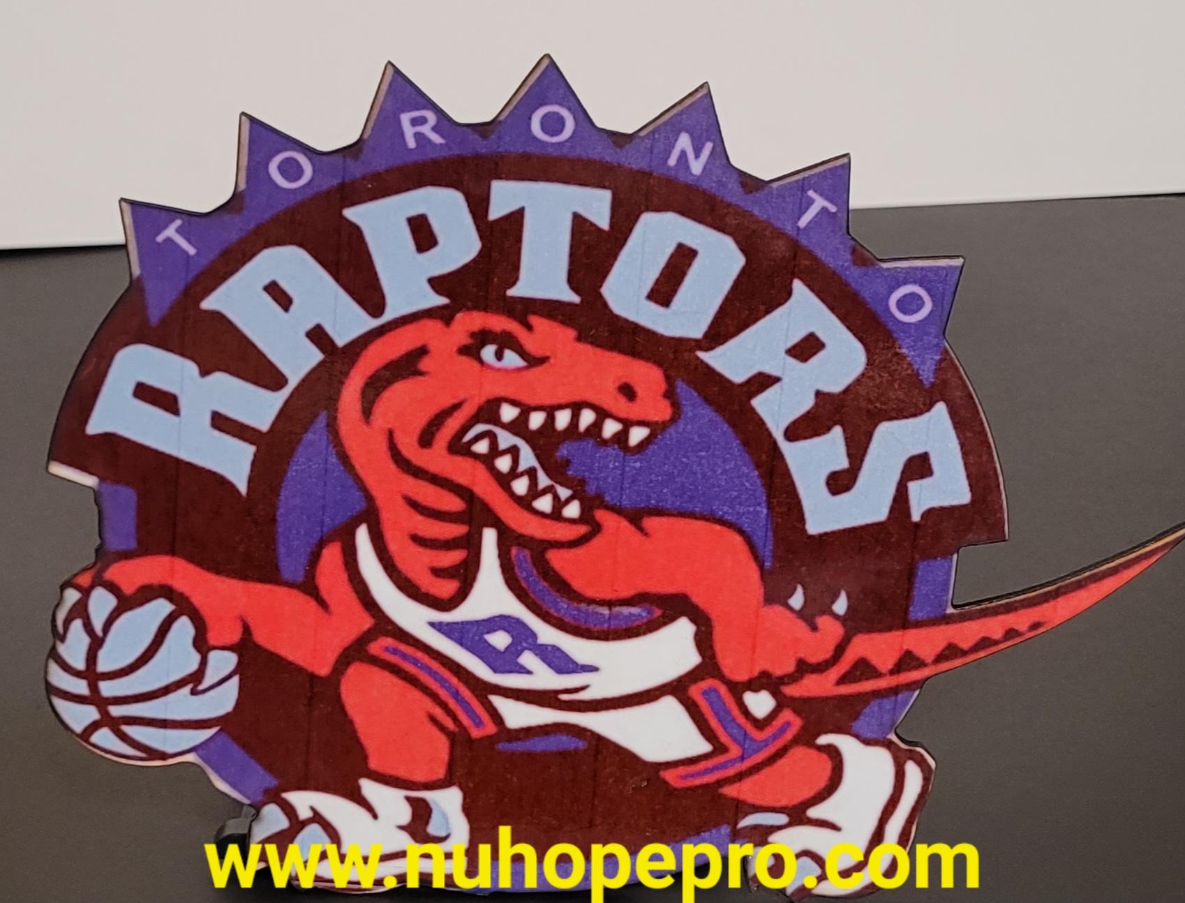 Toronto Raptors Sign