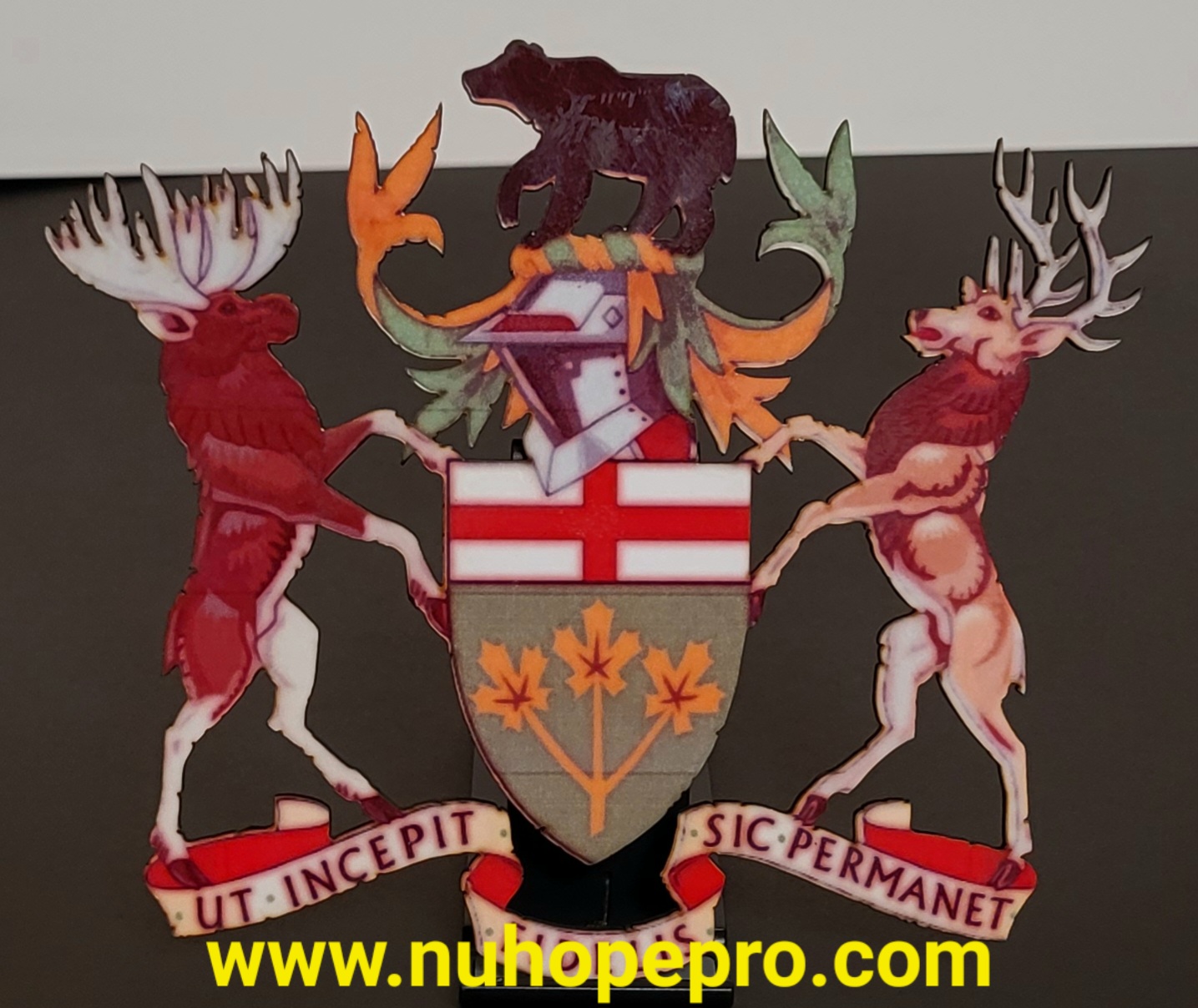 Ontario Decorative Emblem wooden laminated photo cutout