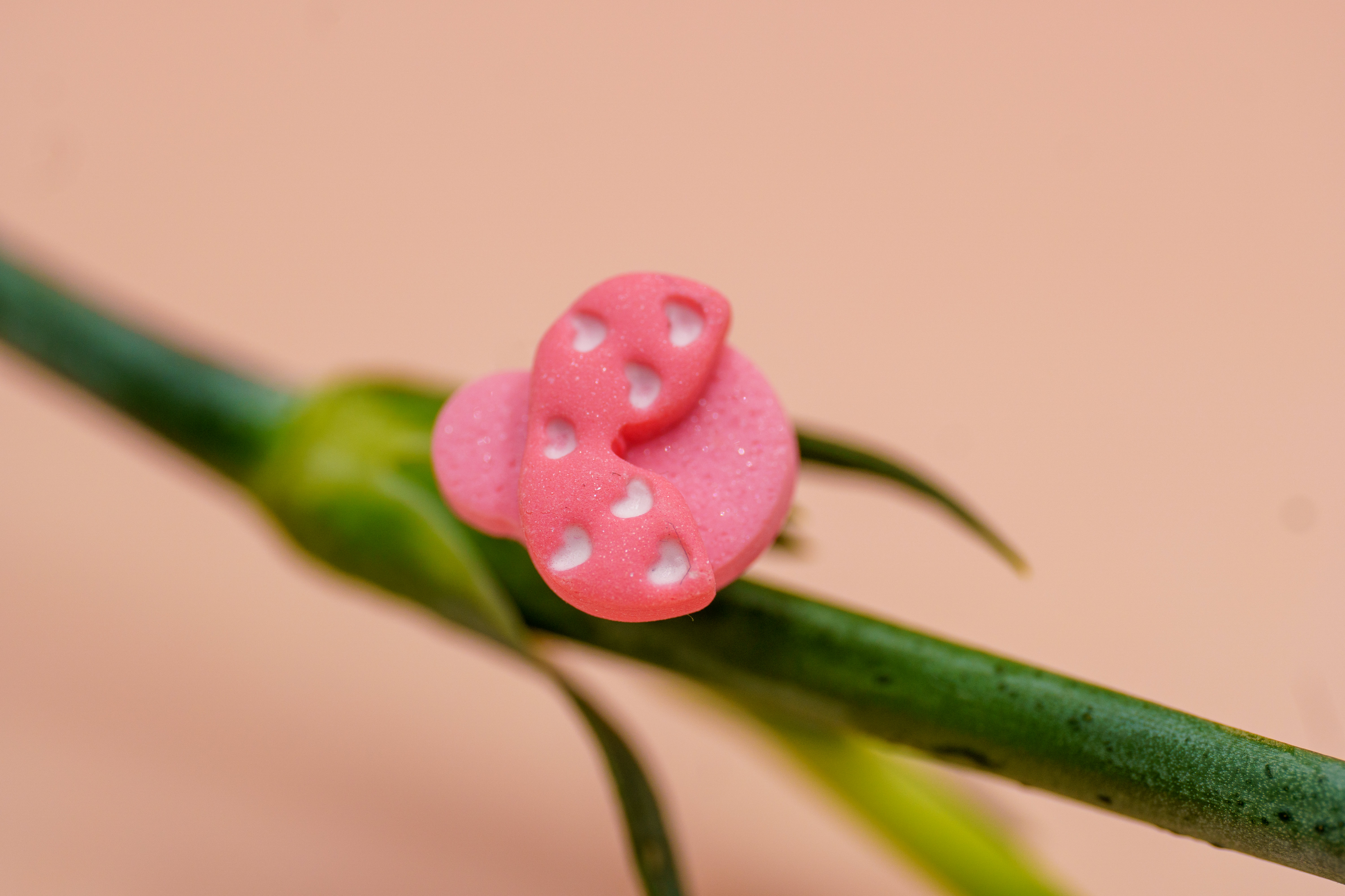 Boucles d'oreilles "CHLOÉ"
