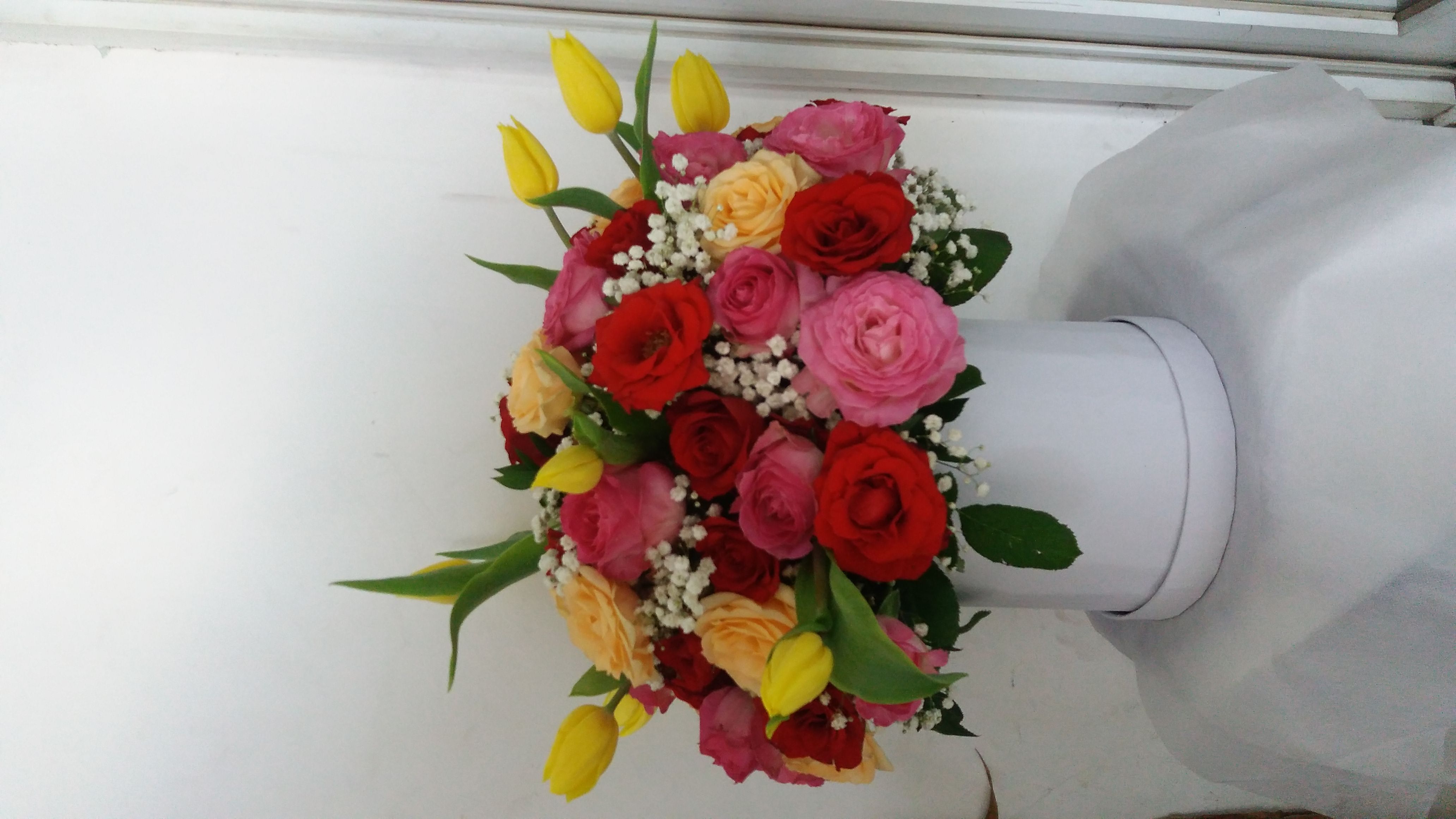Fresh Premium Large Box 20 (FRESH)