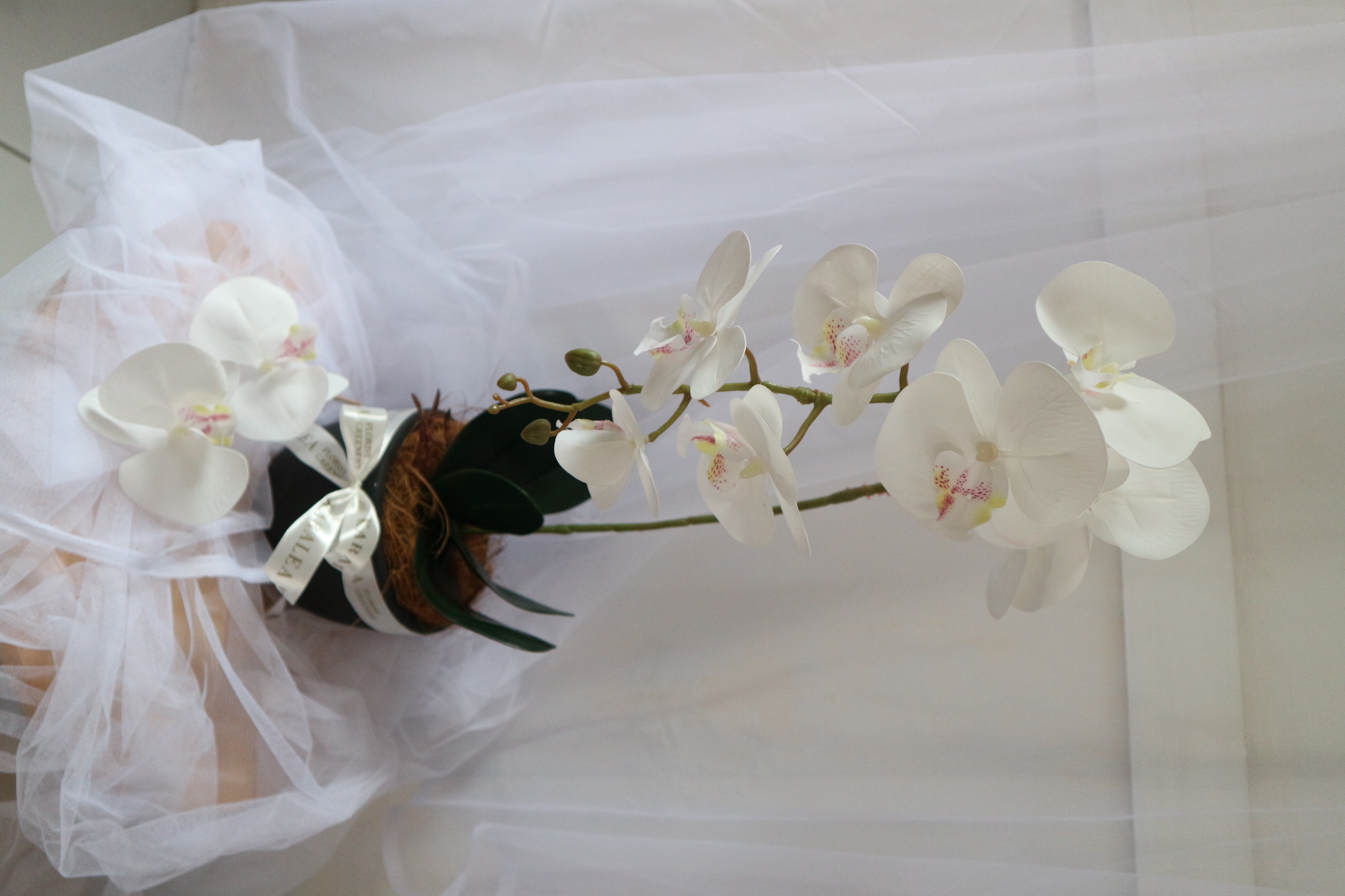 Single Orchid Vase (ARTIFICIAL)