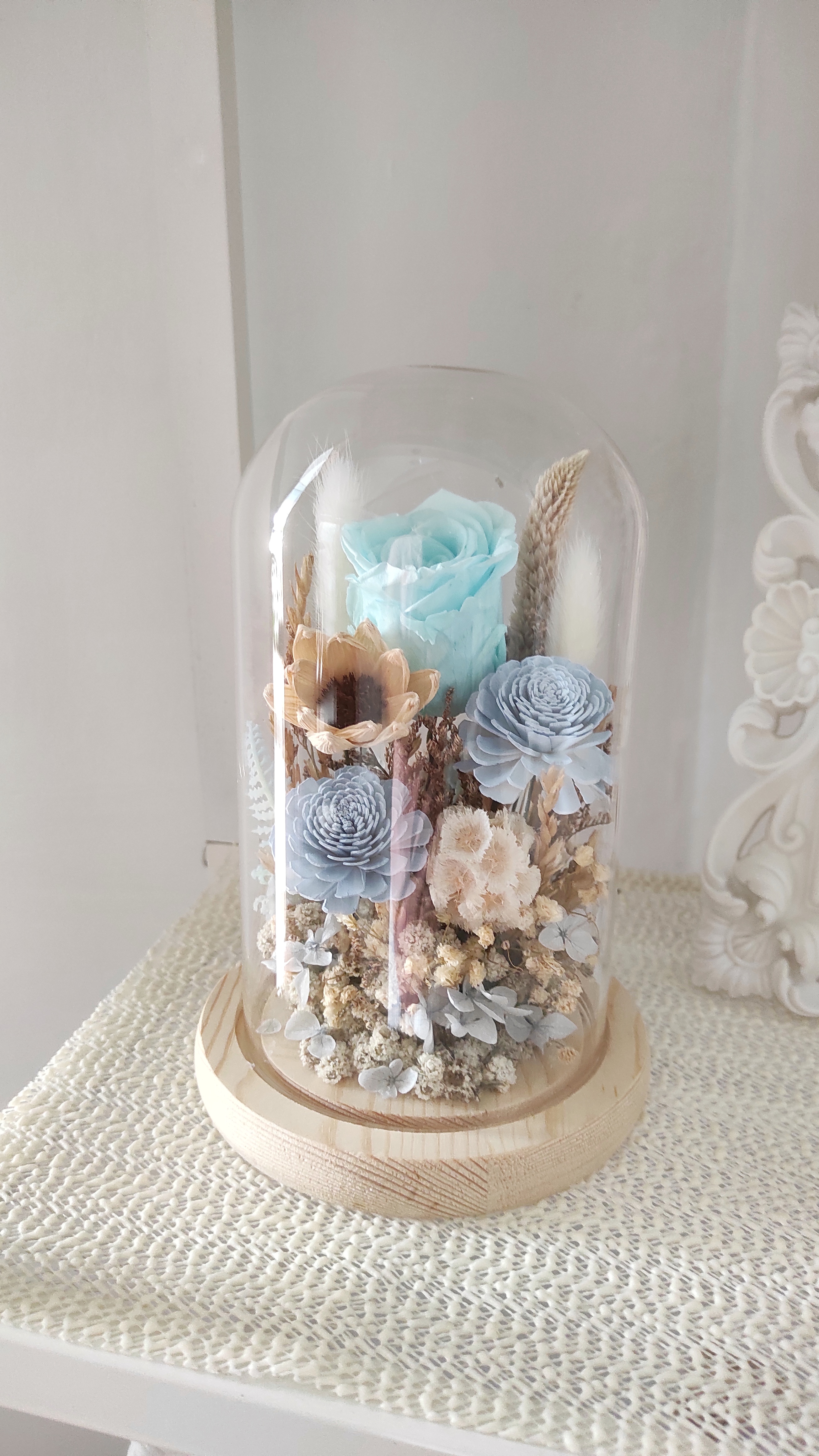 Preserved Blue Dome (12 x 20 cm)