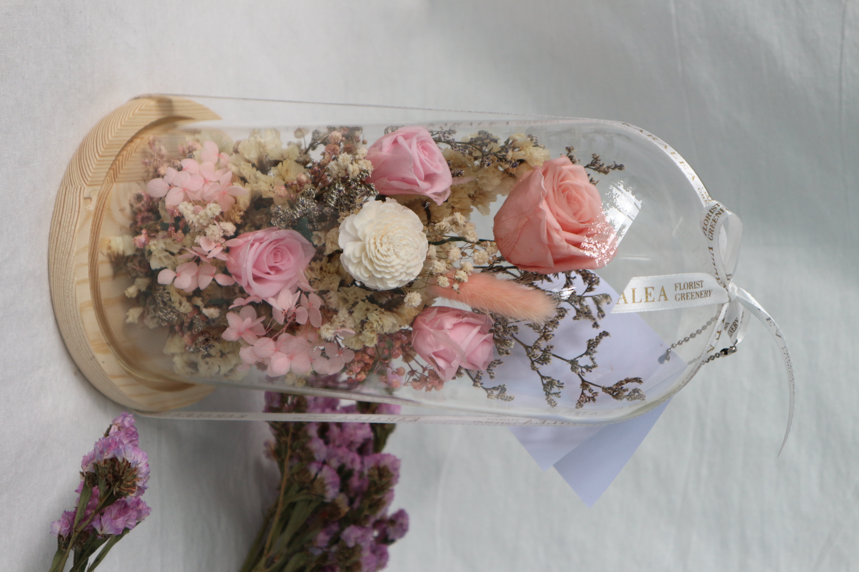 Preserved Pink Dome (12 x 26 cm)