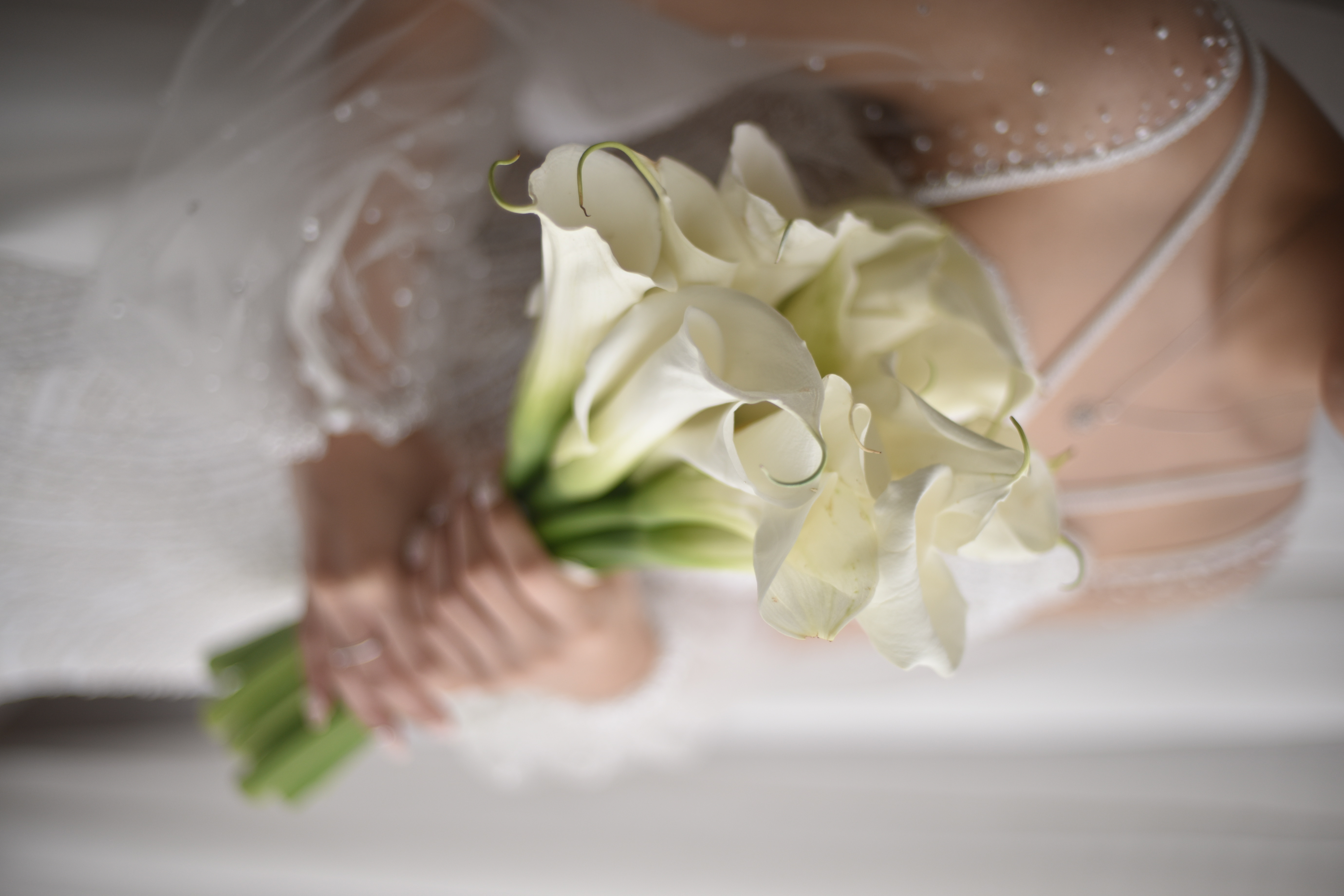 Calla Lily White (Fresh) 