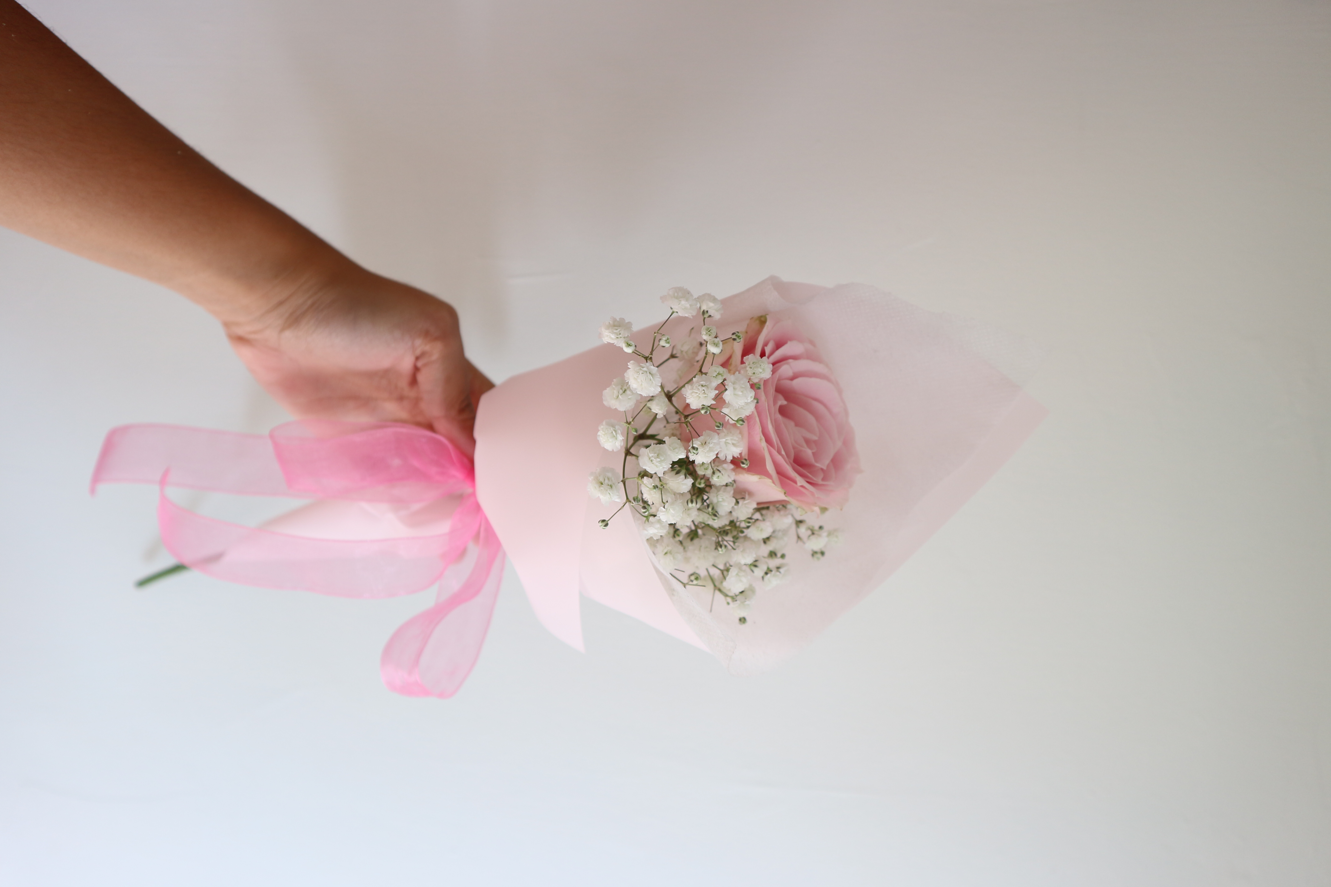 Fresh Single Rose 