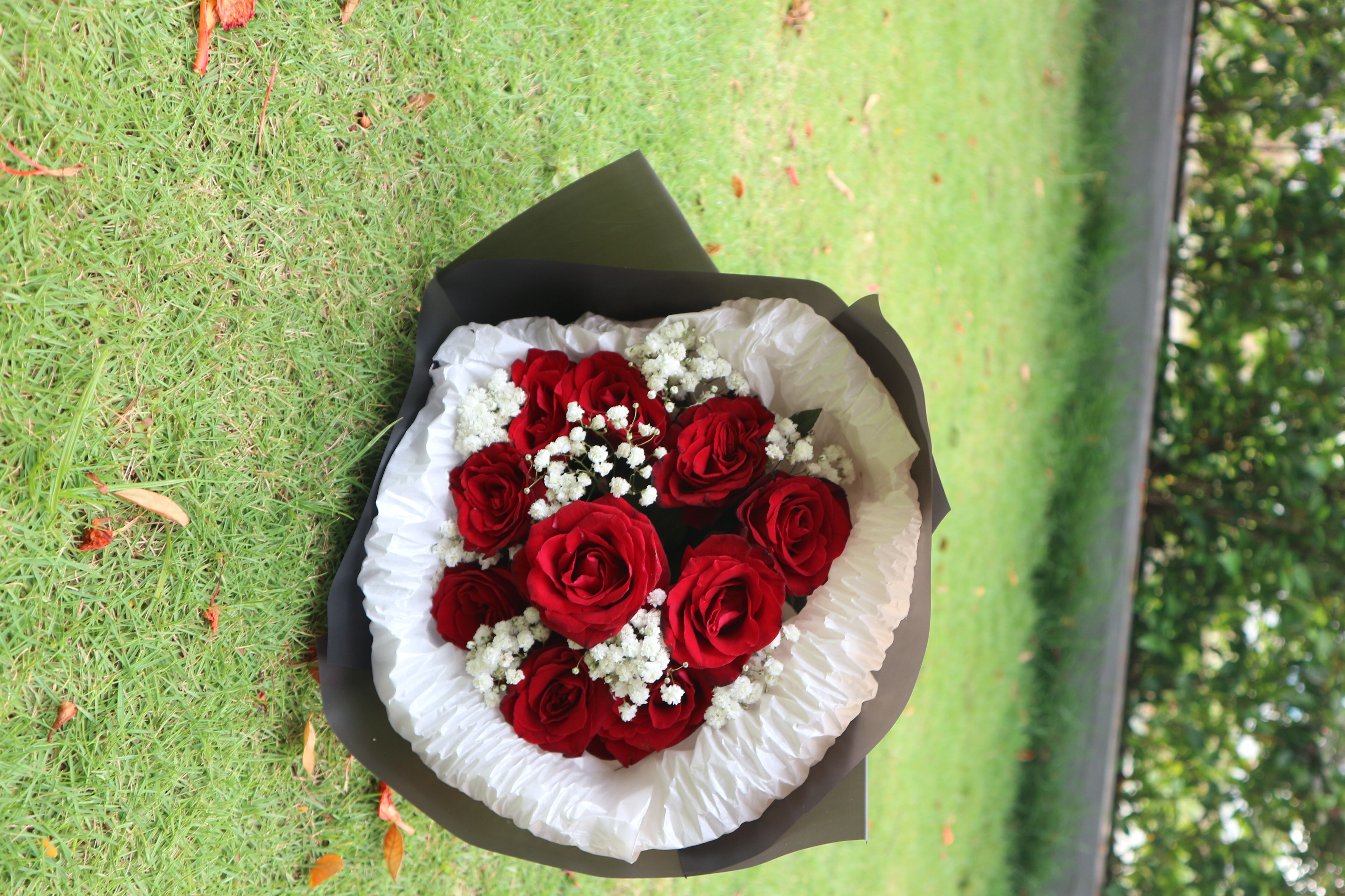 10 Round Roses Bouquet