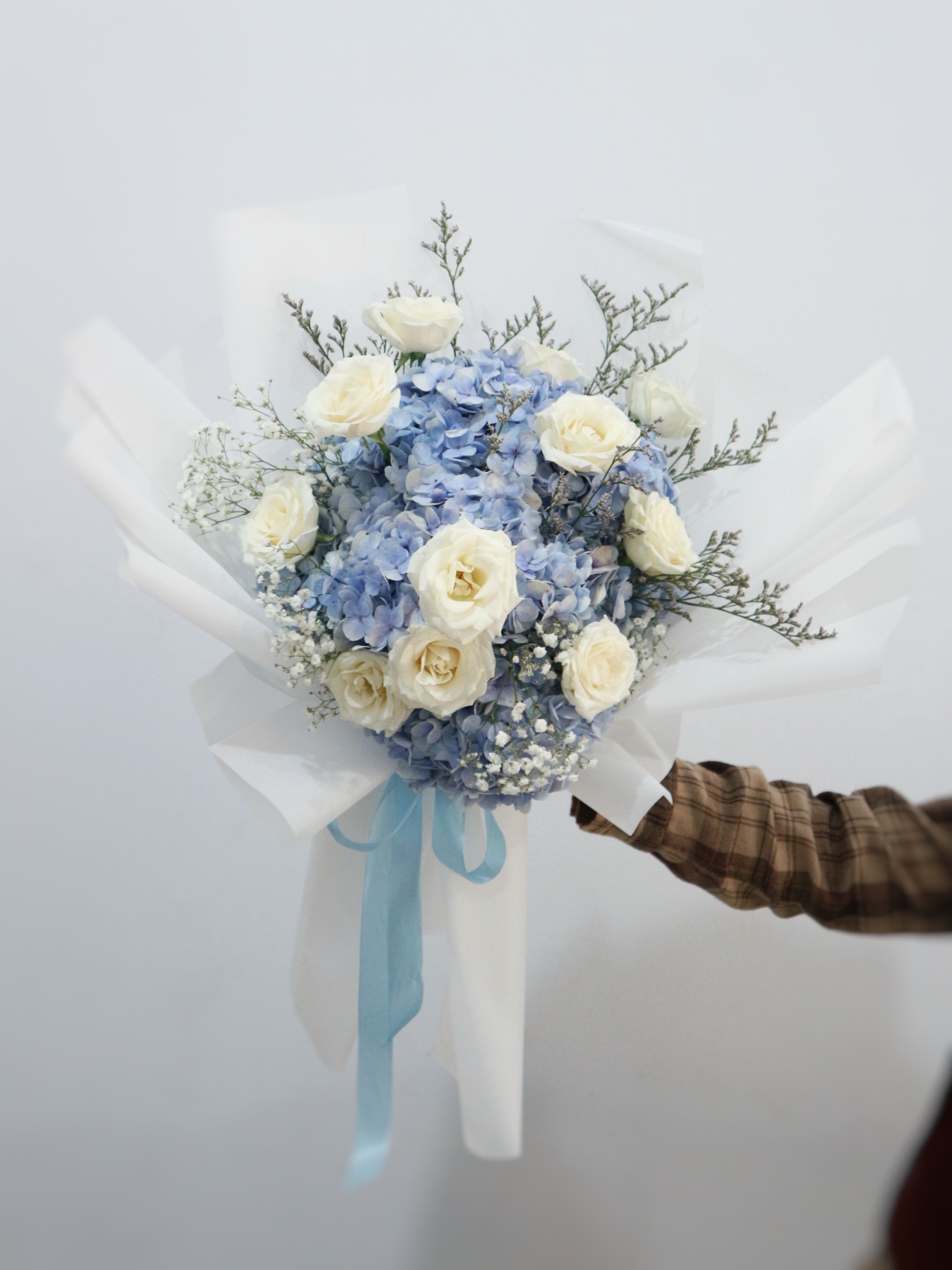 Hydrangea Angel L