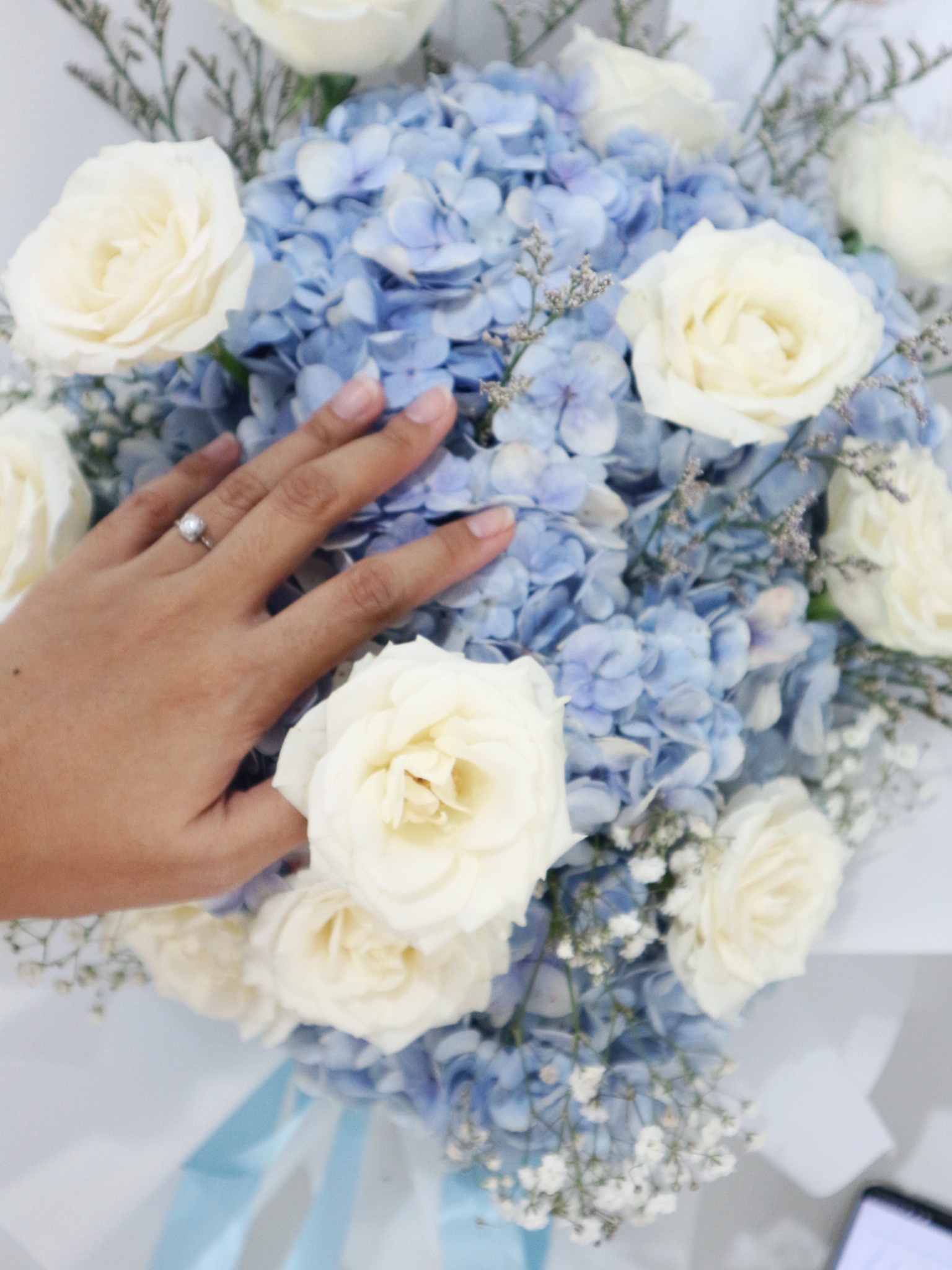 Hydrangea Angel L