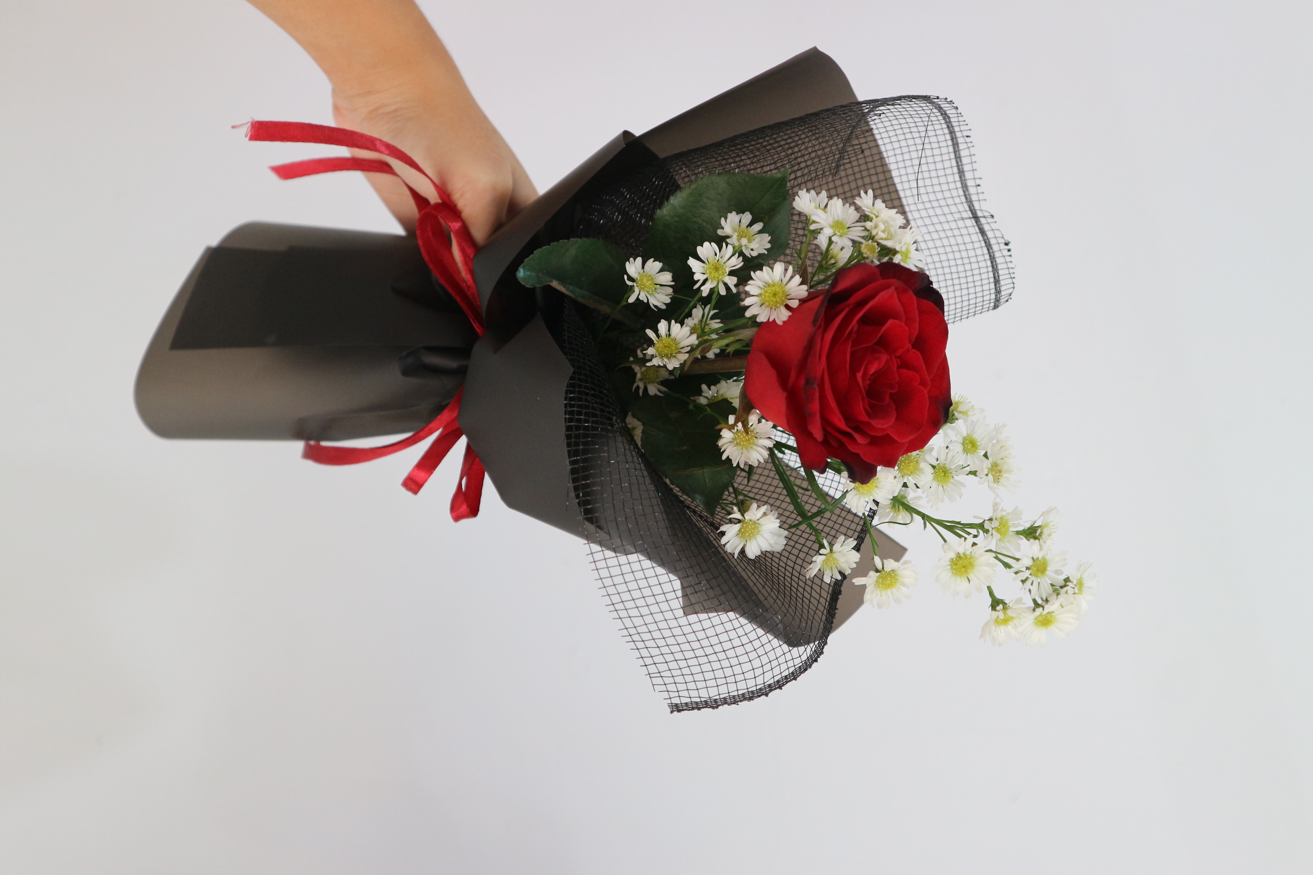 Fresh Single Rose 