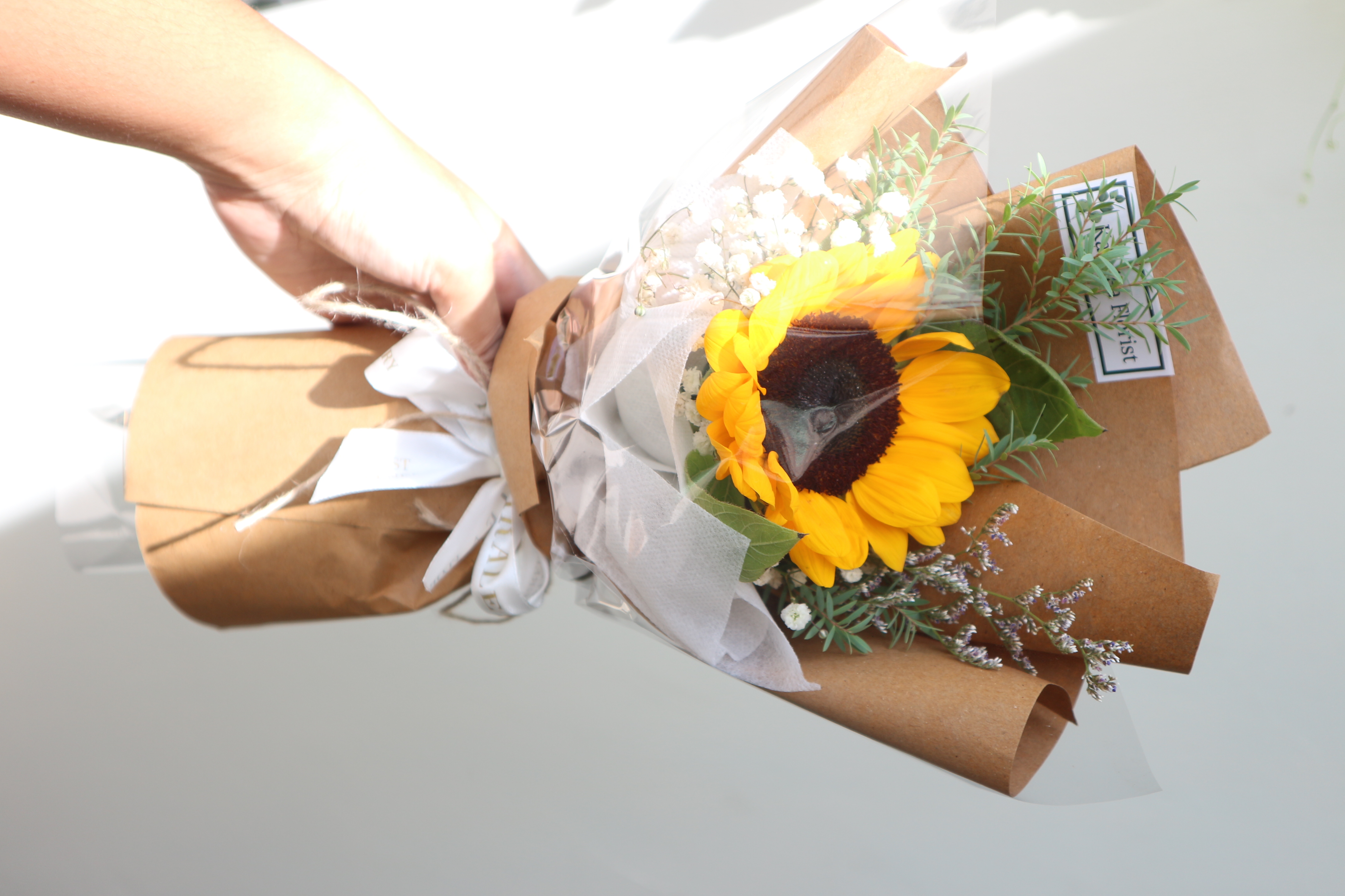 SINGLE SUNFLOWER (S)