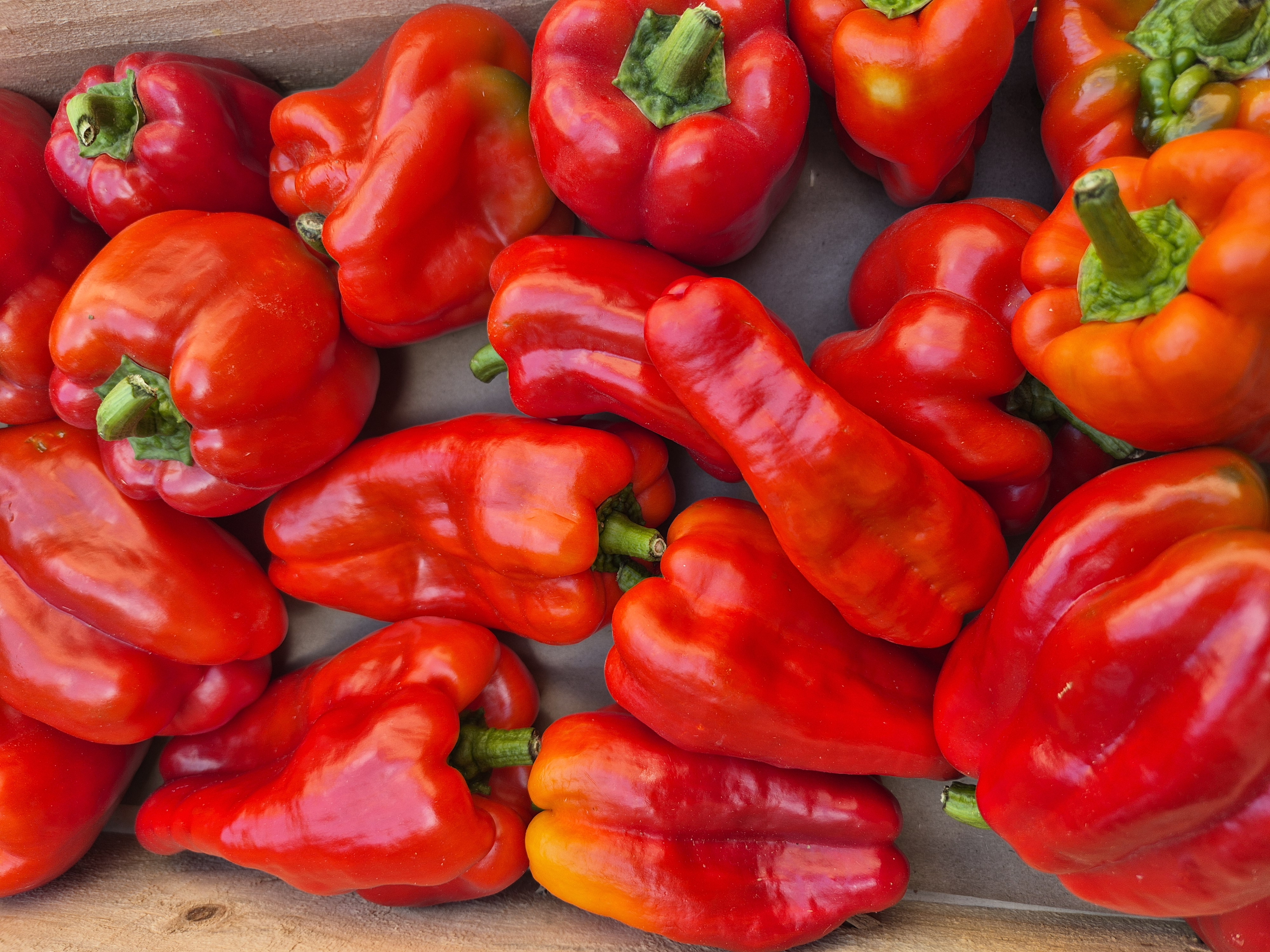 Poivron rouge