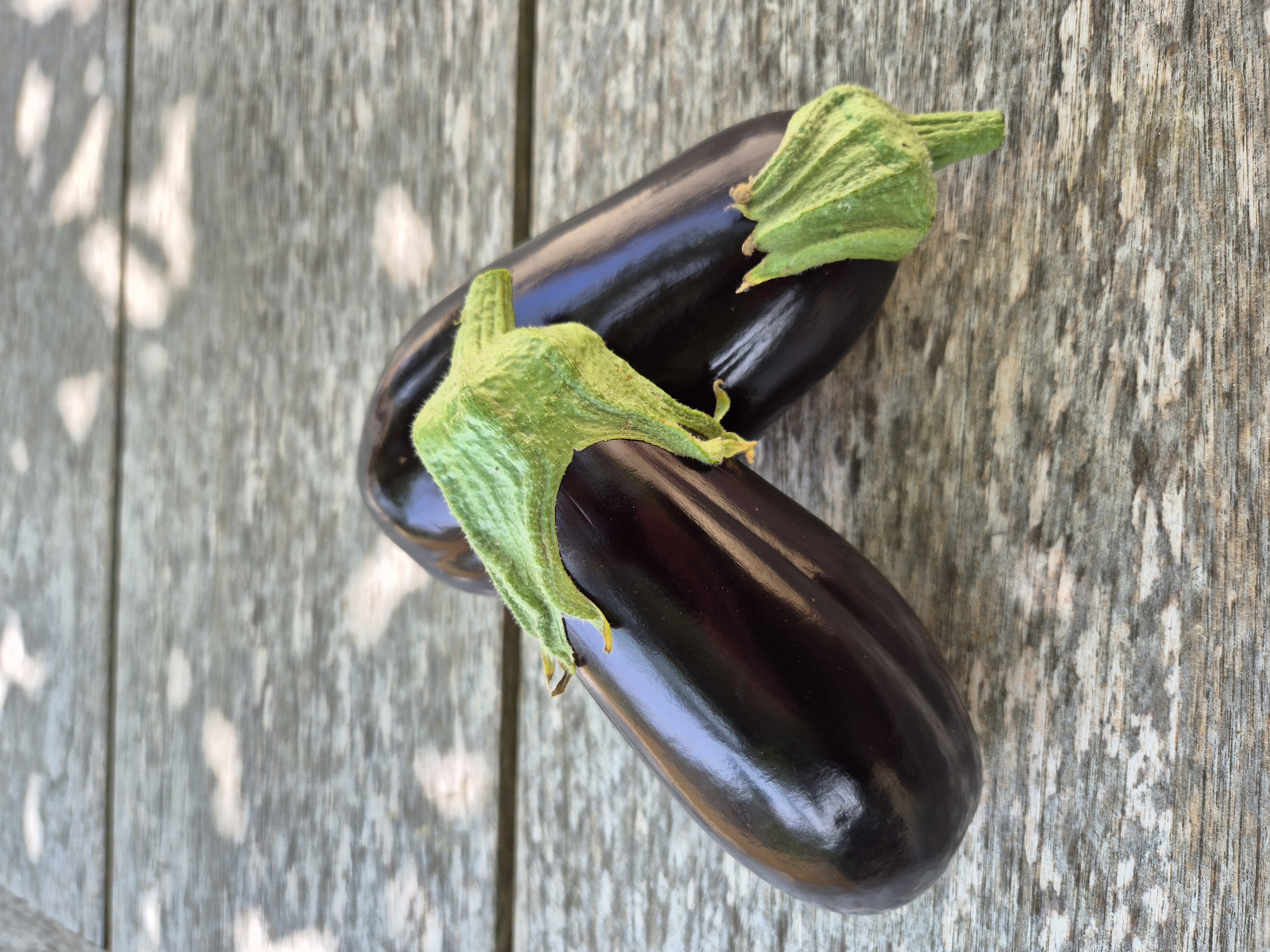 Aubergines