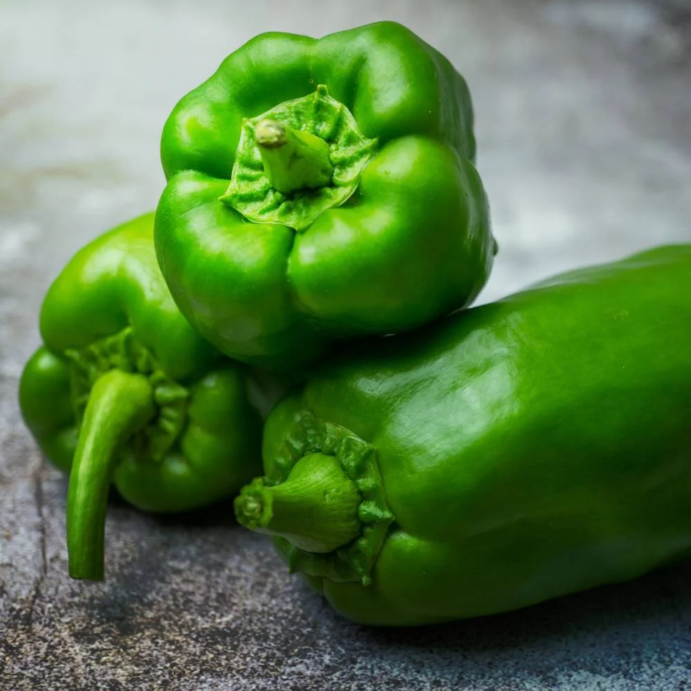 Poivron vert