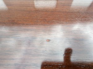 Table Mim Roma placage Bois de Palissandre Italie Circa 1980