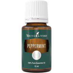 Pfefferminzöl 15ml