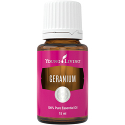 Geranium ätherisches Öl 15ml