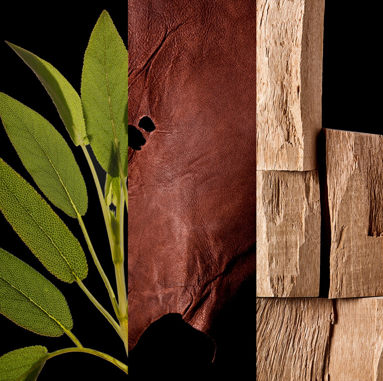 BAD BOY ELIXIR EAU DE PARFUM 3.4OZ