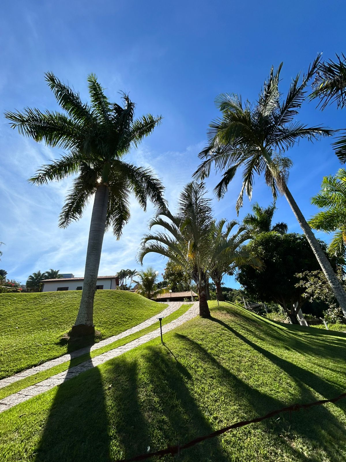 VENDA - Chácara no Bosque dos Eucalíptos R$1.000.000