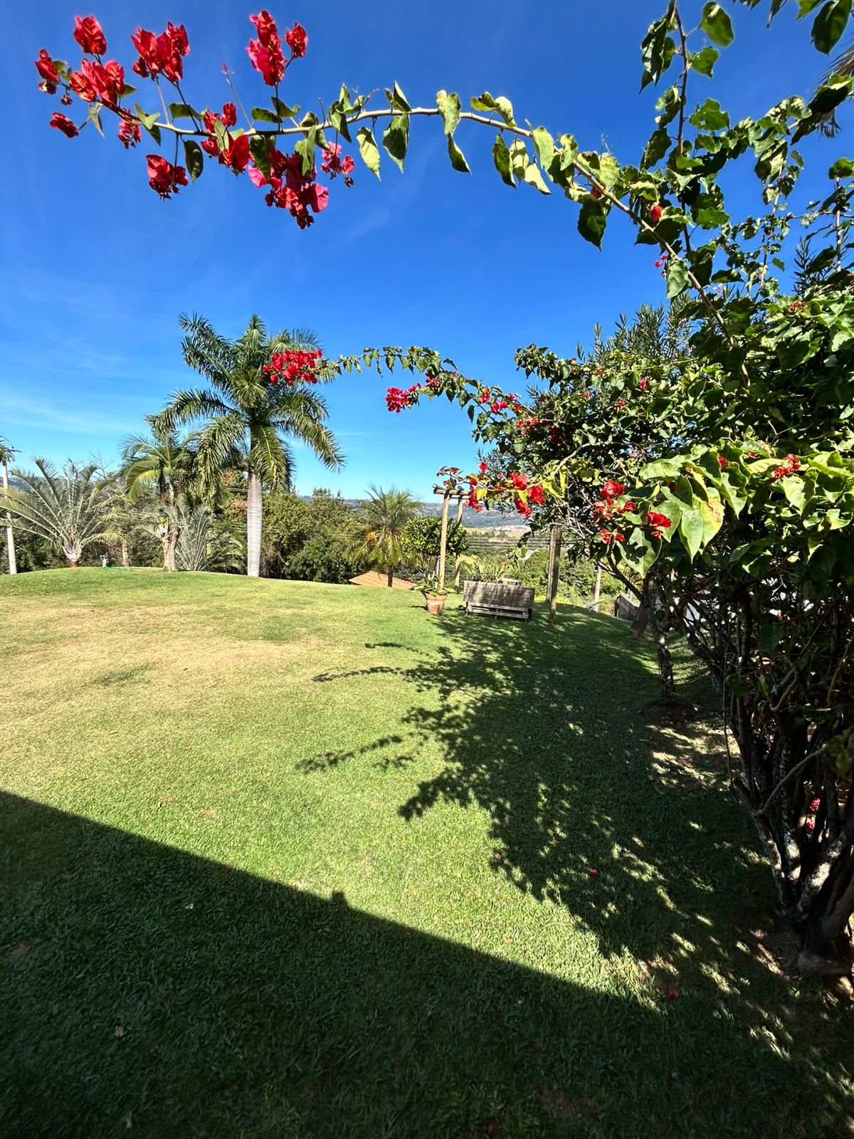 VENDA - Chácara no Bosque dos Eucalíptos R$1.000.000