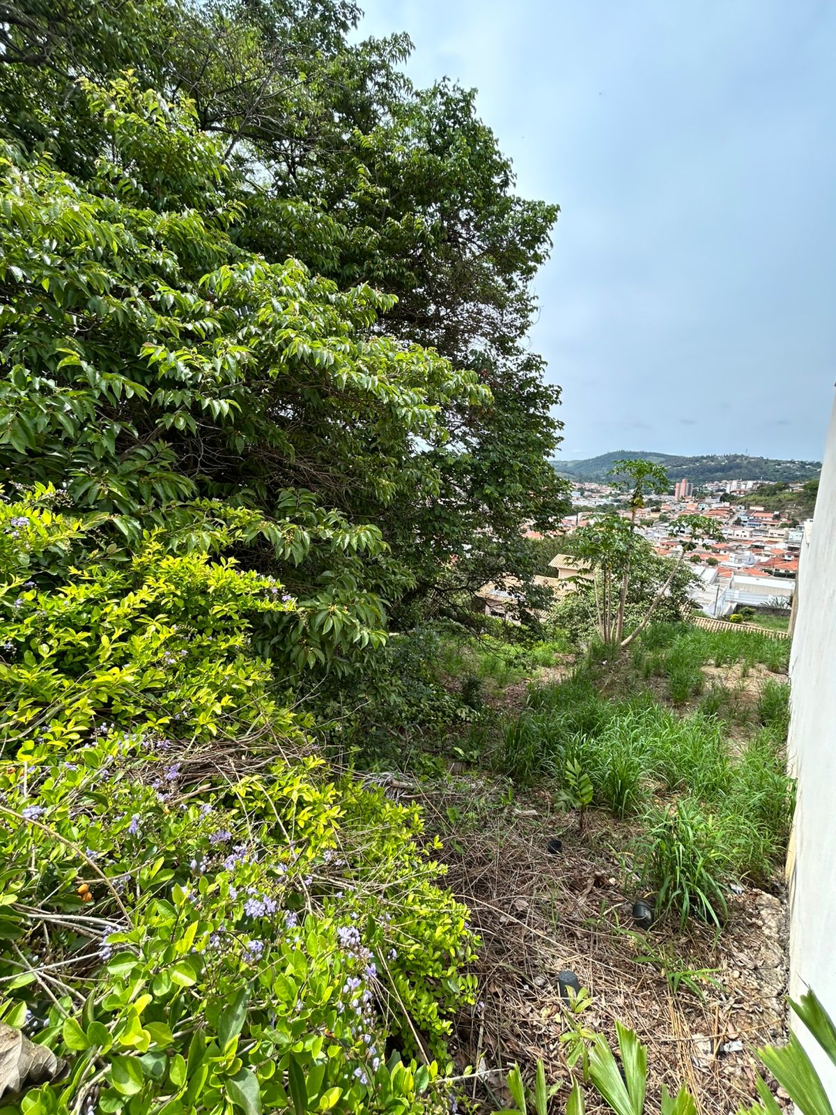 VENDA - Terreno no Condomínio Loureiro R$450.000