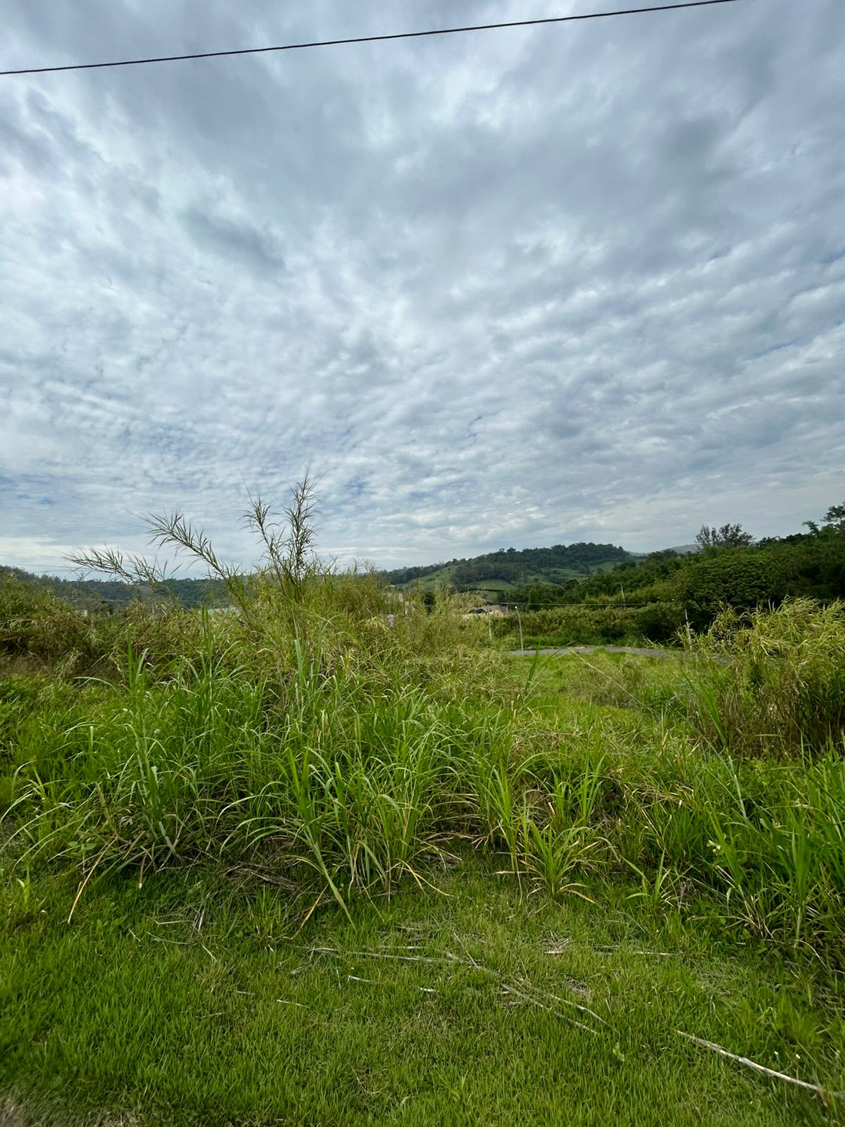 VENDA - 3 Terrenos em área Mista no Terras de Monte Alegre 