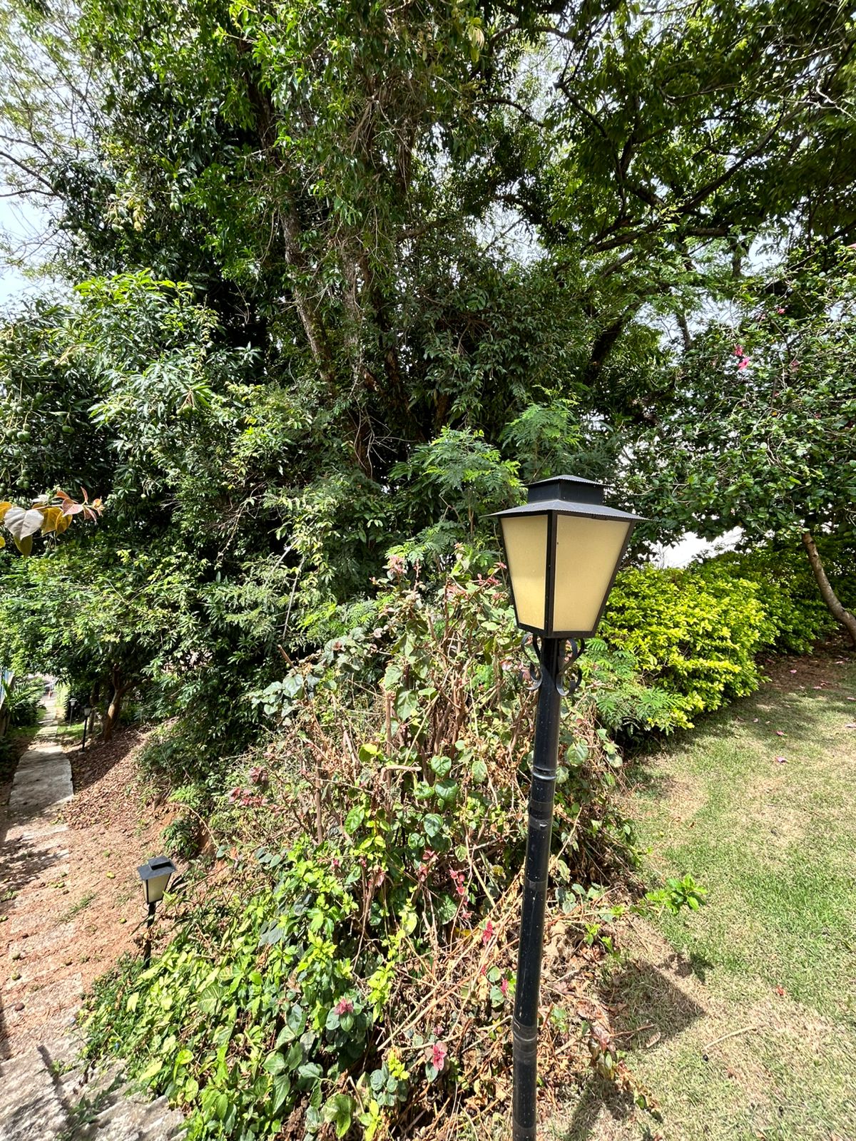 VENDA - Terreno no Condomínio Loureiro R$450.000