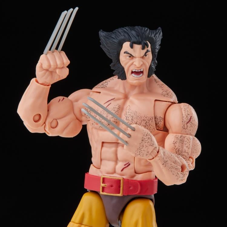 [In Stock] X-Men Marvel Legends Wolverine