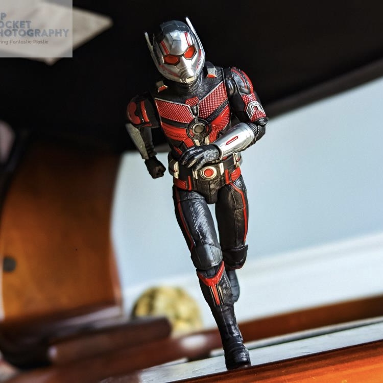 [In Stock] Ant-Man & The Wasp: Quantumania Marvel Legends Ant-Man Action Figure 