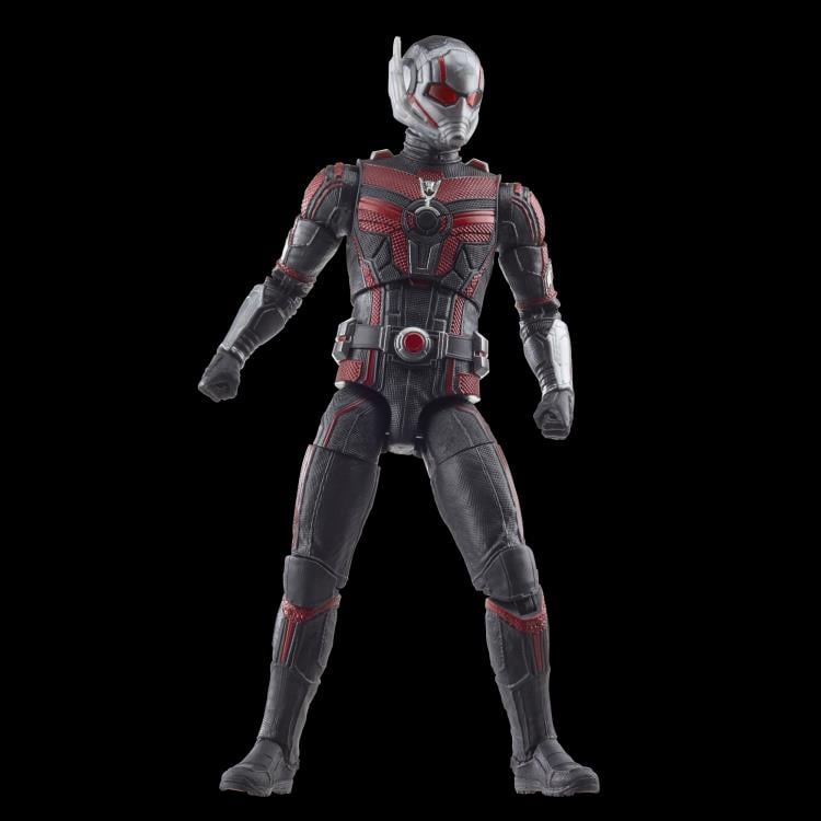 Ant-Man & The Wasp: Quantumania Marvel Legends Ant-Man Action Figure 