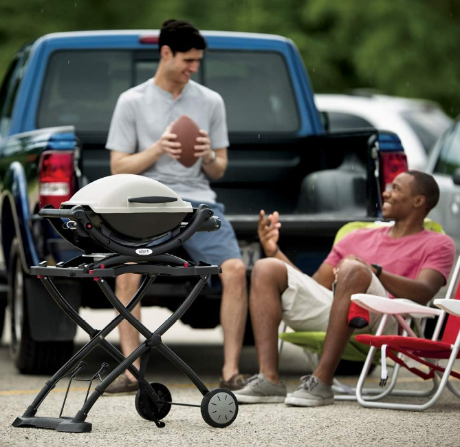 Q1000 Liquid Propane Grill, Titanium