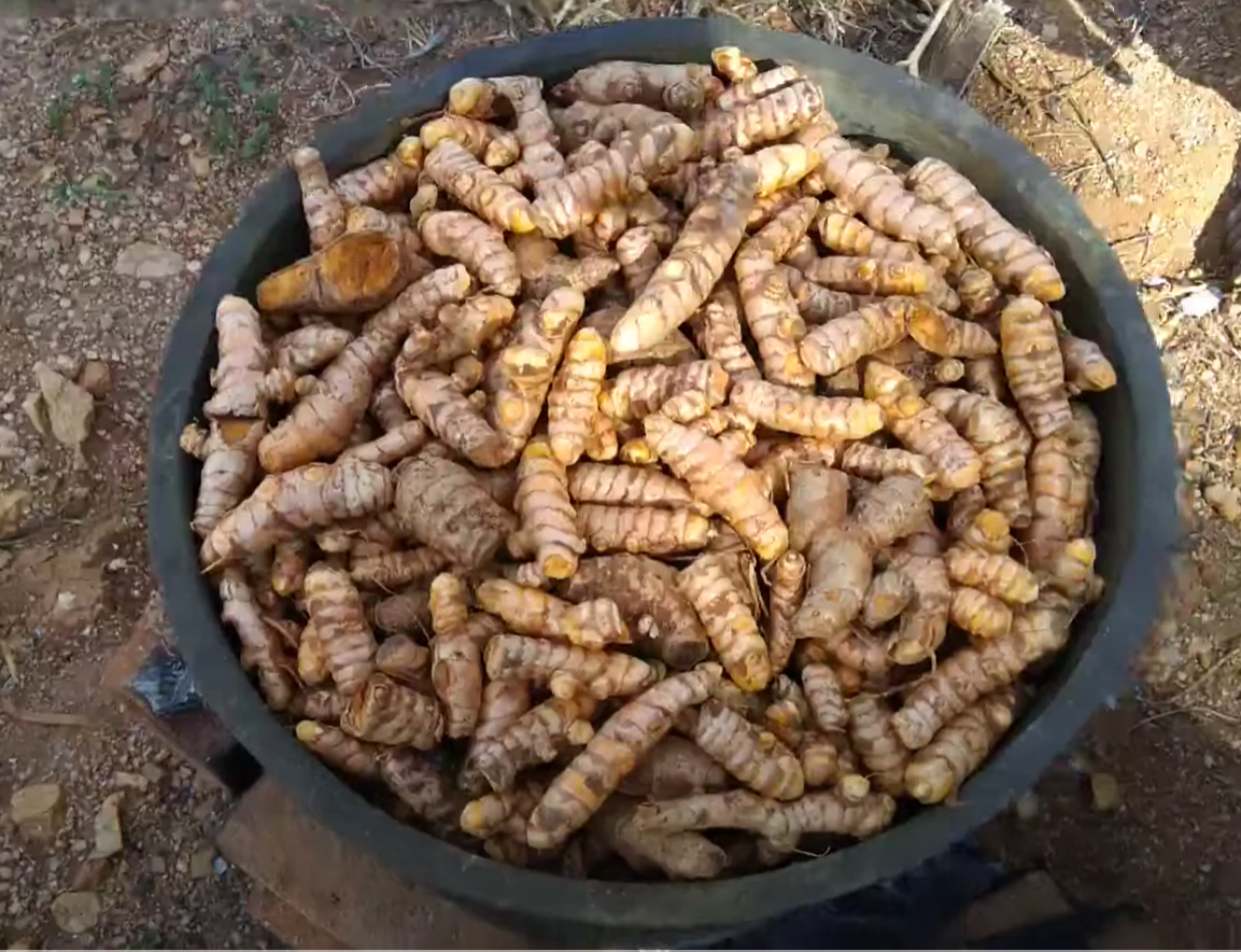 Farm Grown Turmeric Powder (200 gm)