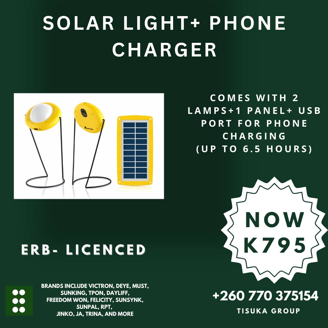 Solar Light + Phone Charger