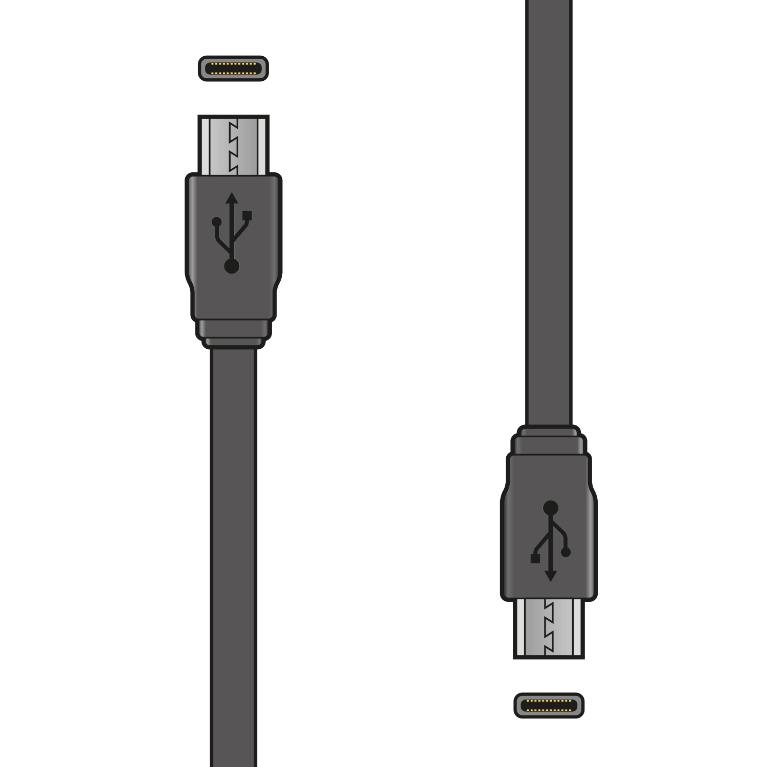 USB-C to USB-C Short Lead