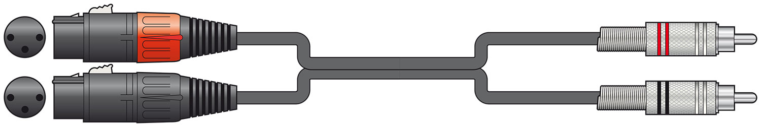 2x XLR (F) - 2x RCA Lead