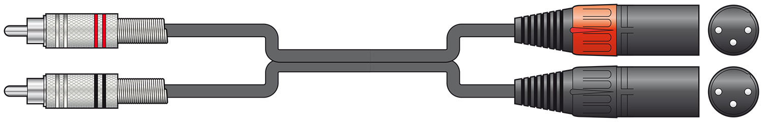2x XLR (M) - 2x RCA Lead