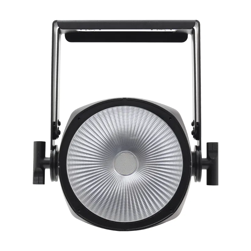 Endura COB UV Par IP rated