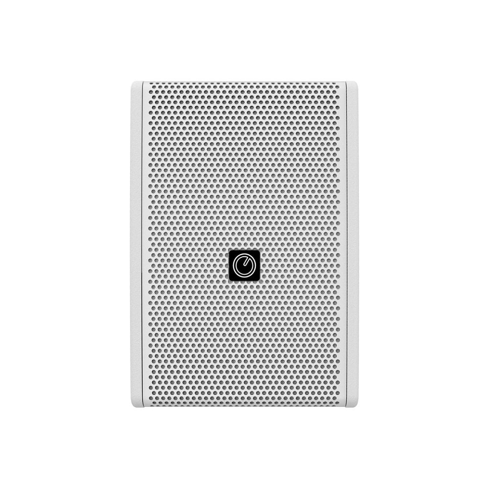 Intusonic 6FP100T 2-Way Loudspeaker