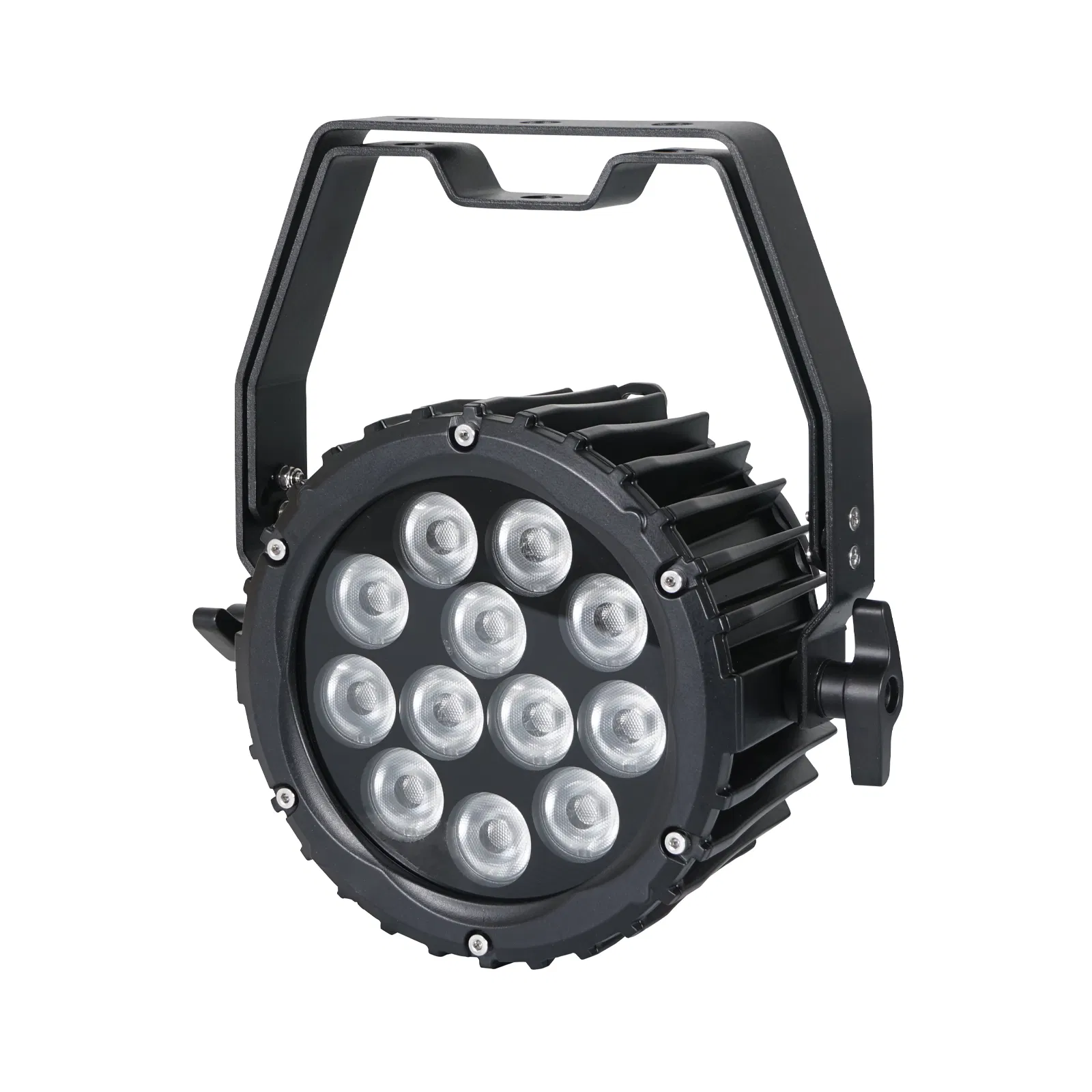 Spectra Par 12T3 Exterior Fixture
