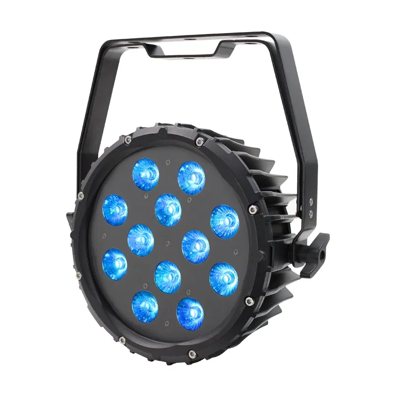 Spectra Par 12HEX10 Outdoor Spotlight