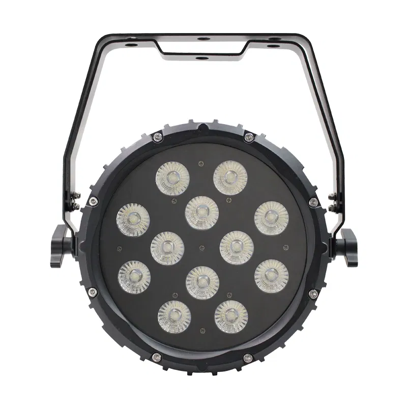 Spectra Par 12HEX10 Outdoor Spotlight