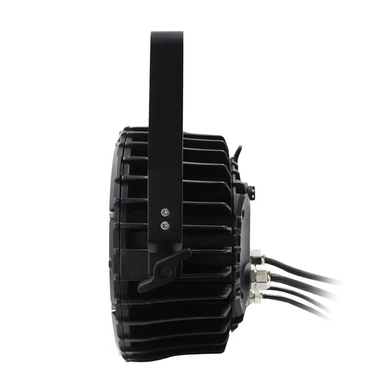 Spectra Par 12HEX10 Outdoor Spotlight