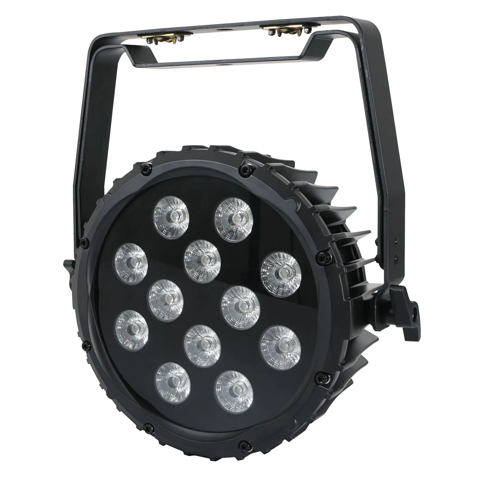 Spectra Par 12HEX10 Outdoor Spot Pro