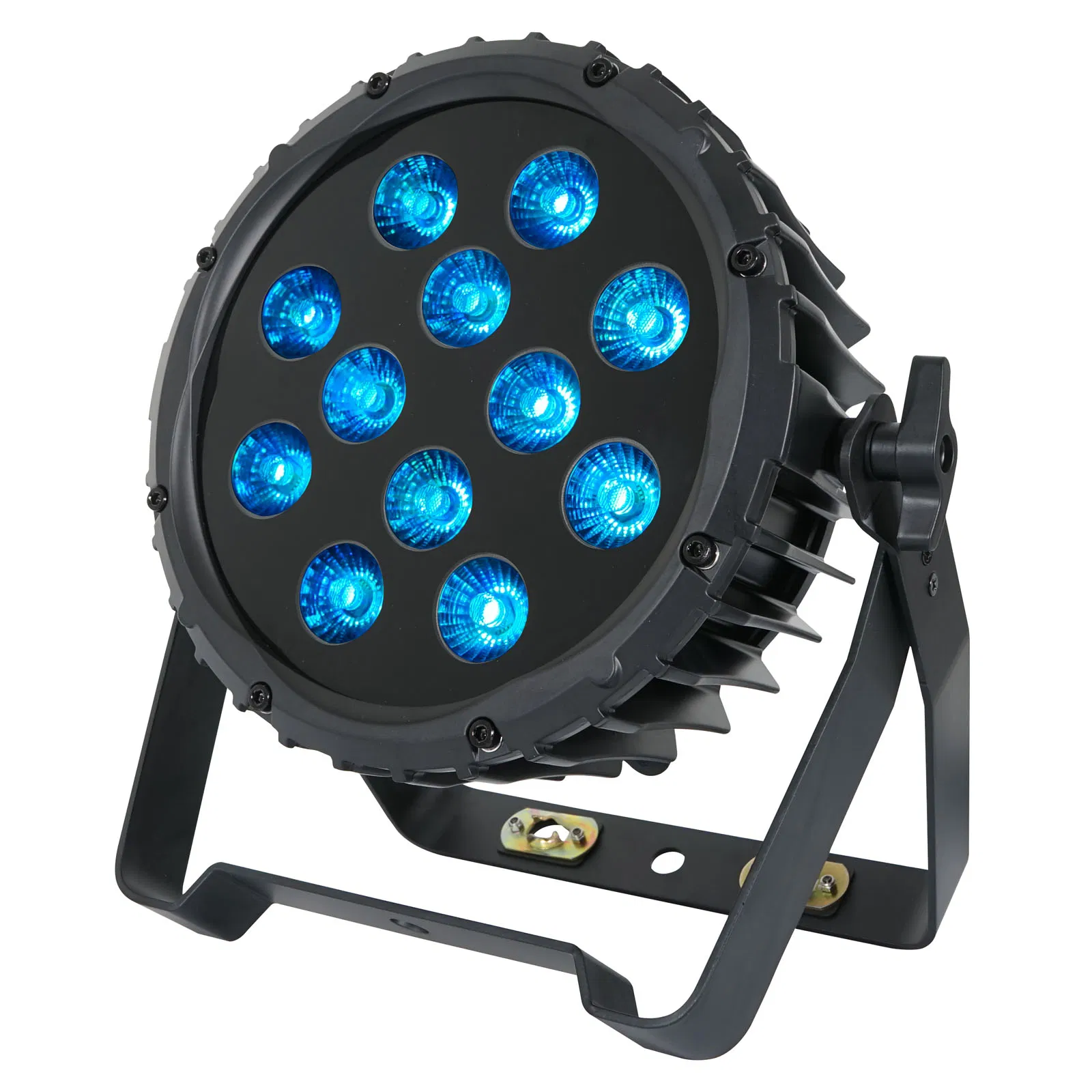 Spectra Par 12HEX10 Outdoor Spot Pro