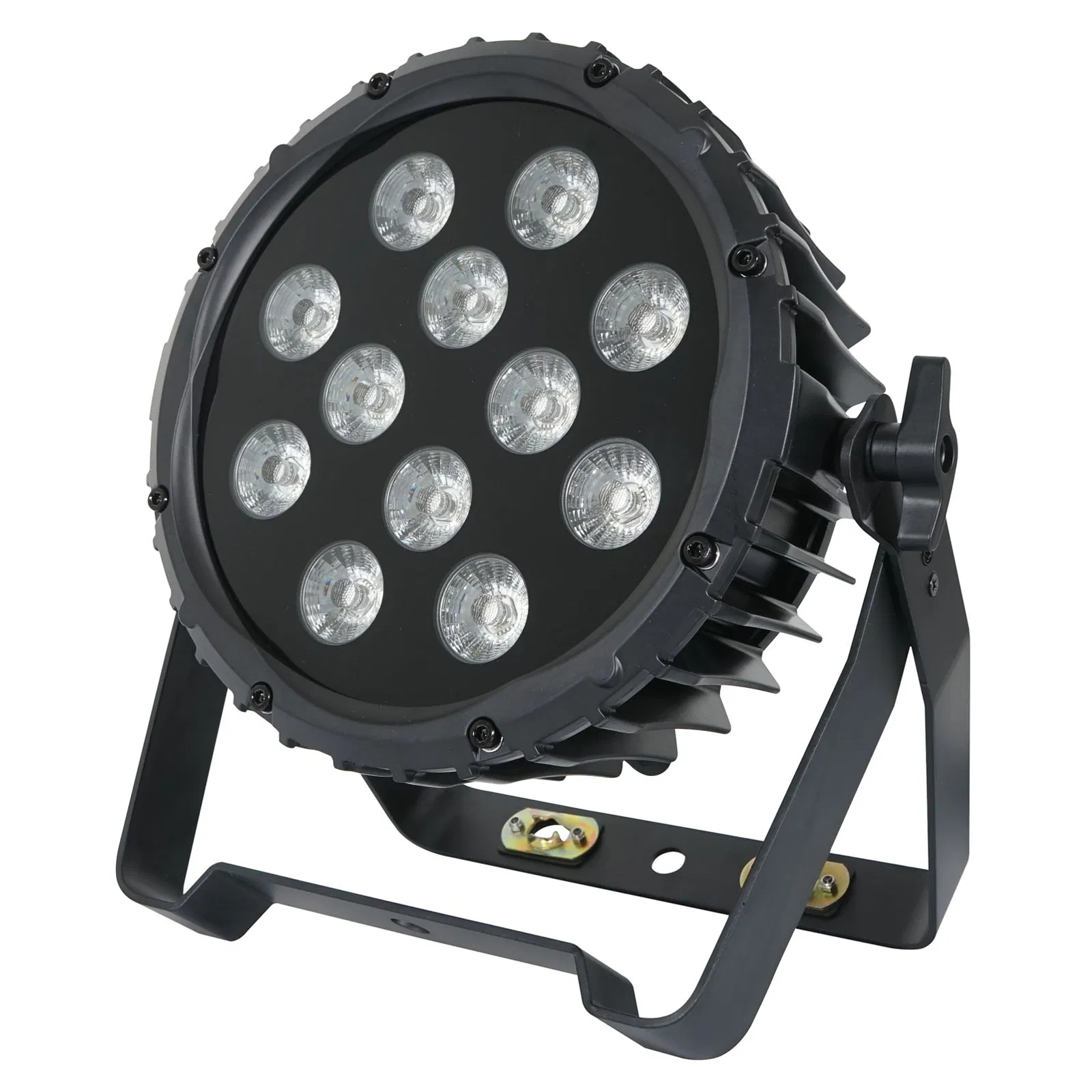 Spectra Par 12HEX10 Outdoor Spot Pro