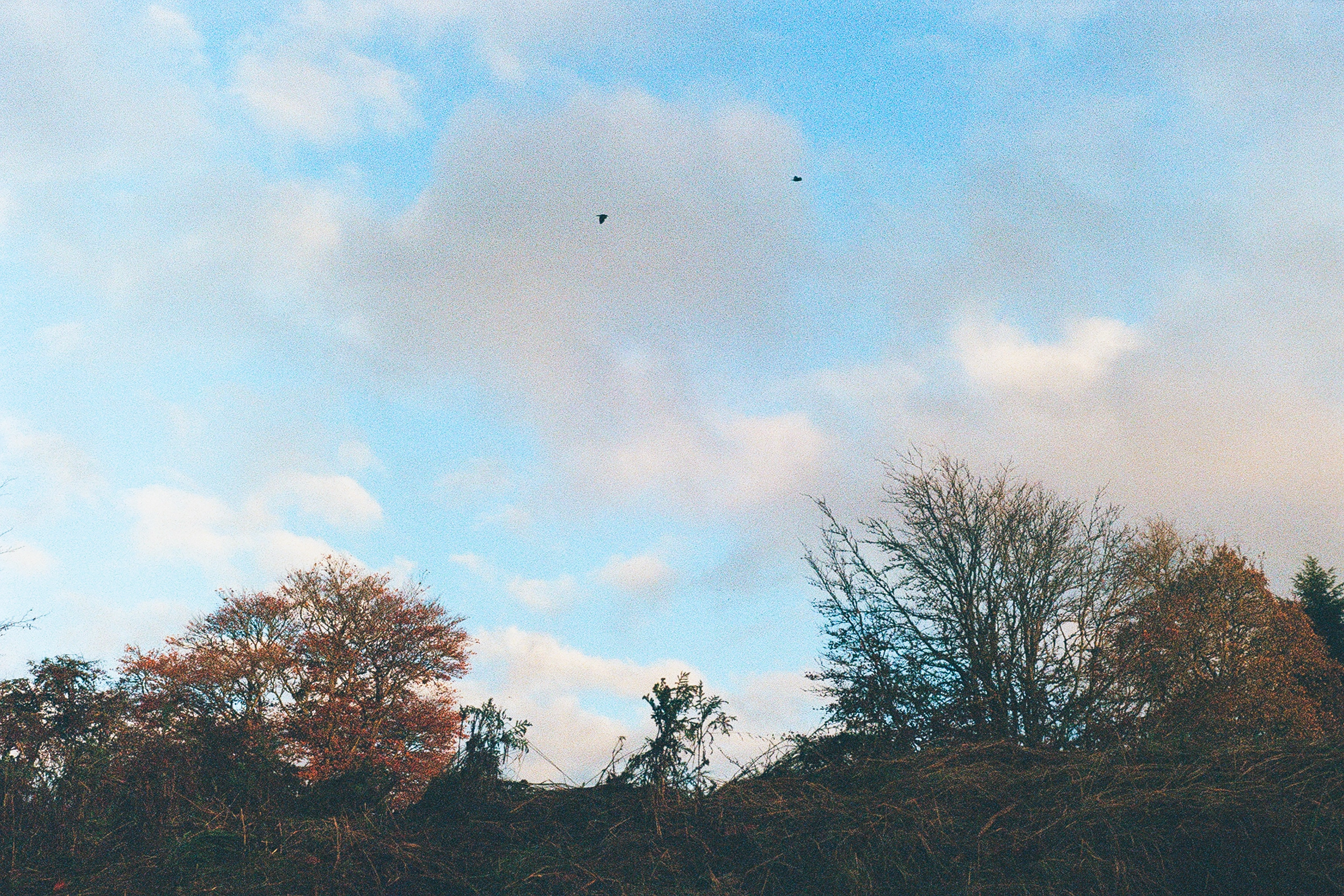HIVER