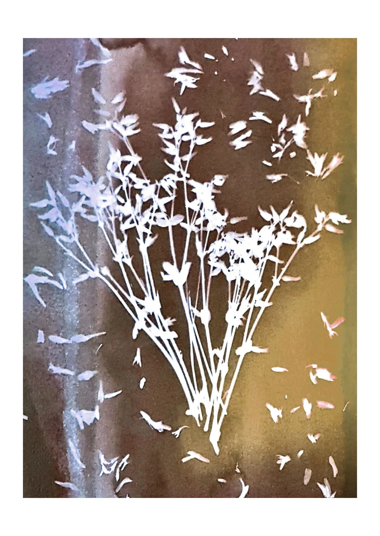 CARTE POSTALE - OR BLEU