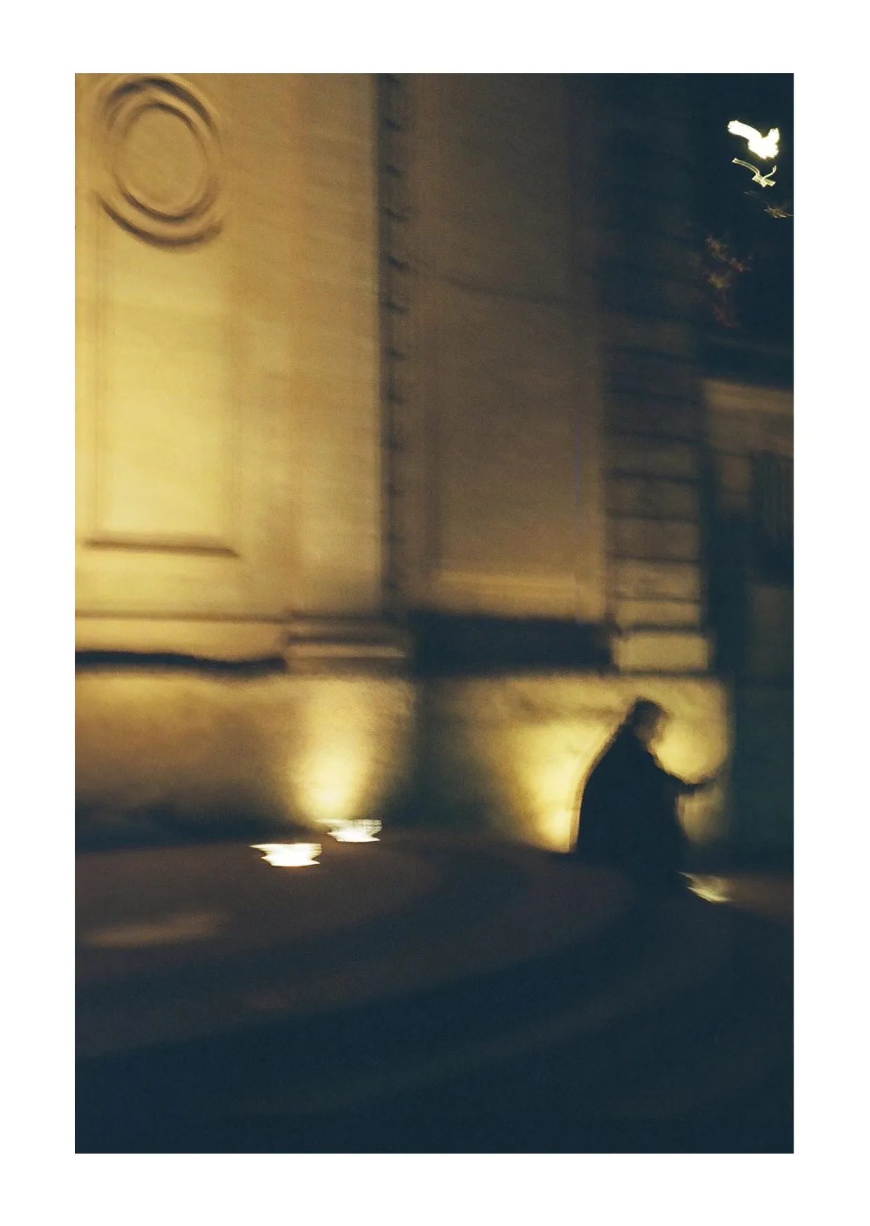 CARTE POSTALE - NOCTURNE